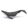 Papo Humpback Whale Calf