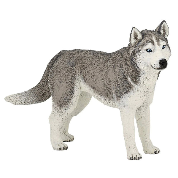 Papo Siberian Husky Dog