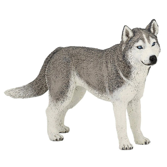 Papo Siberian Husky Dog