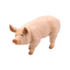 Papo Pig Boar