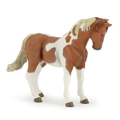 Papo Pinto Mare