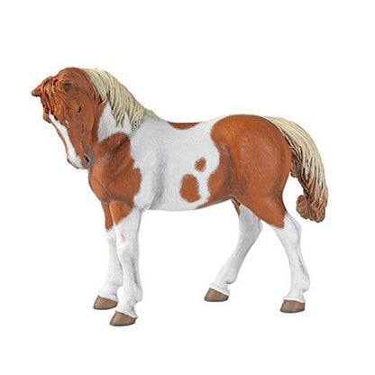 Papo Pinto Mare