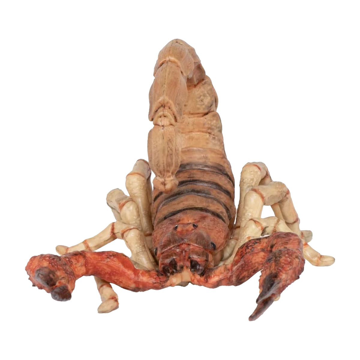 Papo Scorpion