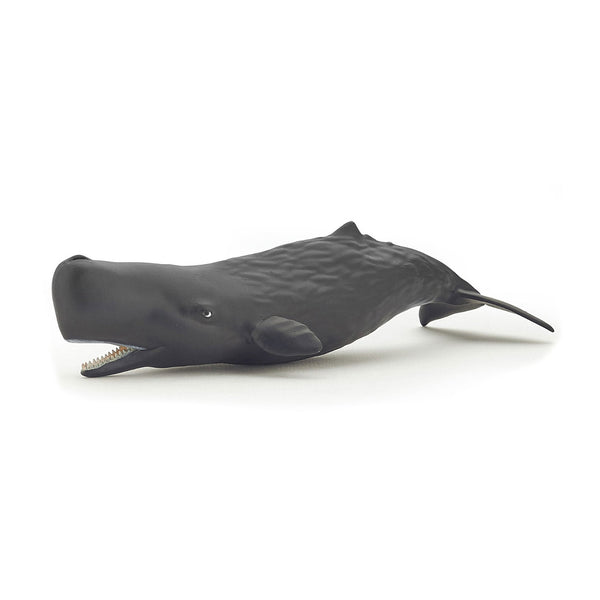 Papo Sperm Whale Calf-56045-Animal Kingdoms Toy Store