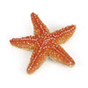 Papo Starfish-56050-Animal Kingdoms Toy Store