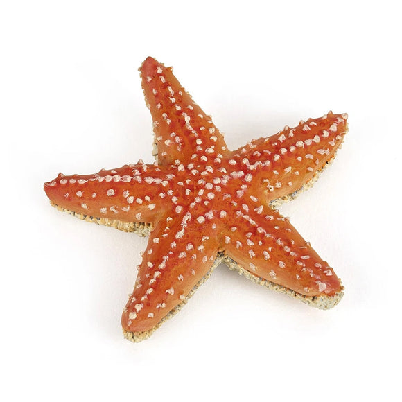 Papo Starfish-56050-Animal Kingdoms Toy Store