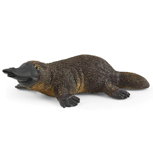 Schleich Platypus-14840-Animal Kingdoms Toy Store
