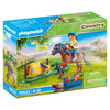 Playmobil Country Collectable Welsh Pony
