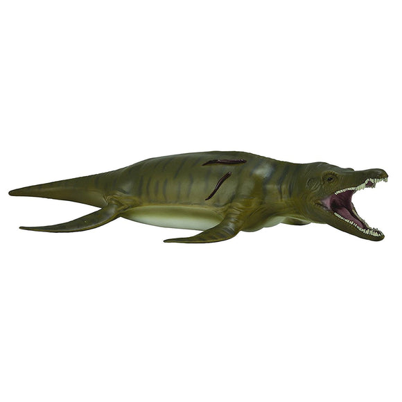 CollectA Pliosaurus Deluxe 1:40 Scale-88699-Animal Kingdoms Toy Store