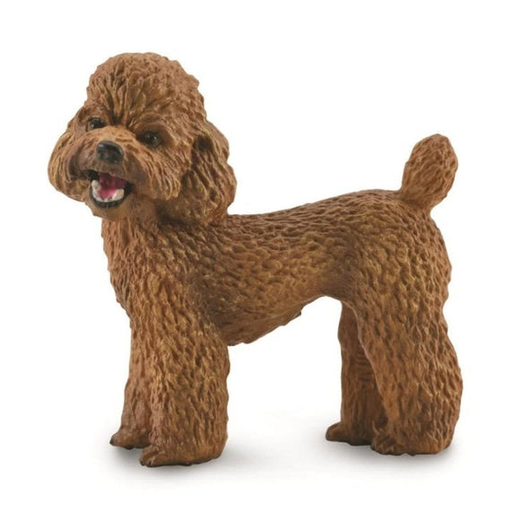 CollectA Toy Poodle-88880-Animal Kingdoms Toy Store