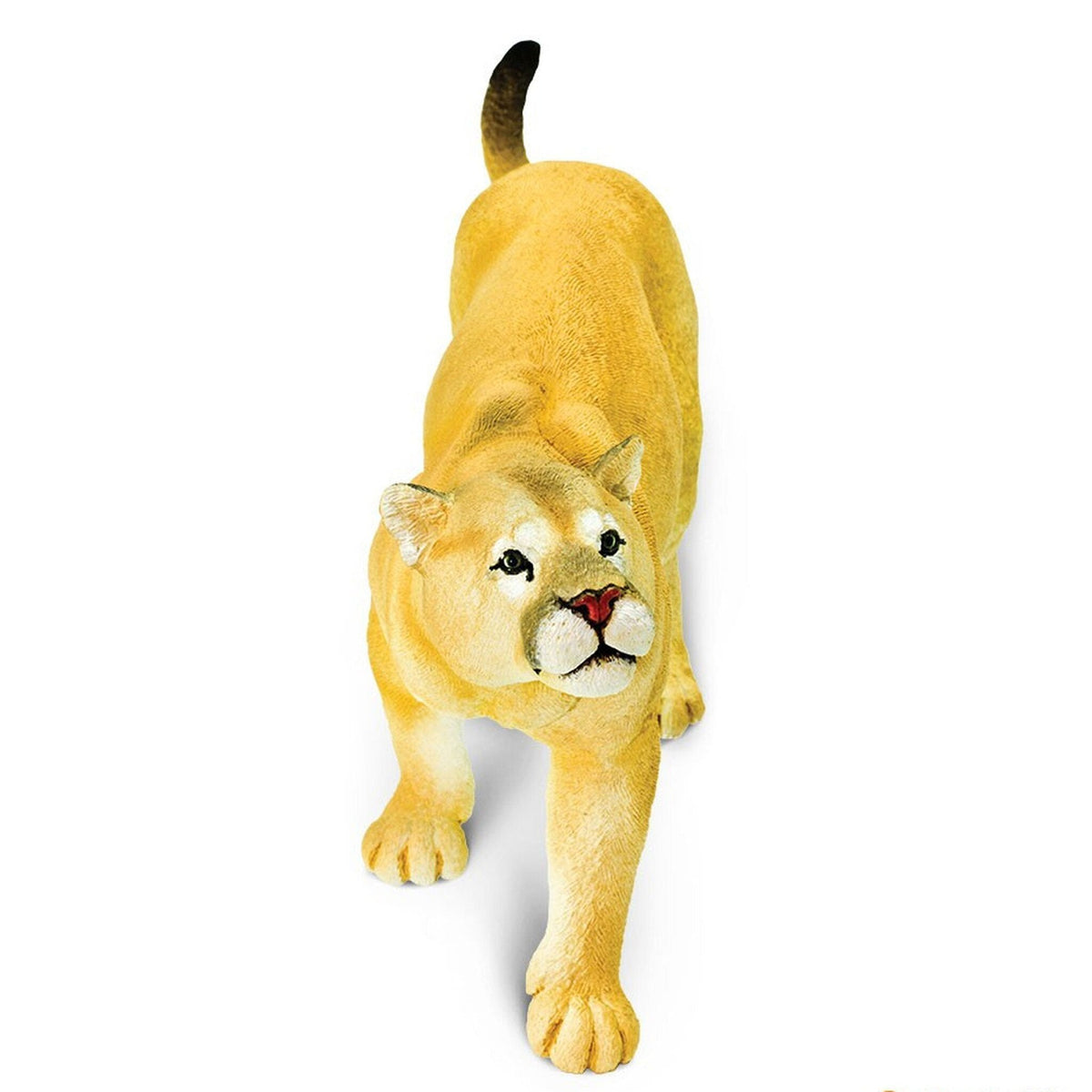 Safari Ltd Puma Concolor-SAF113189-Animal Kingdoms Toy Store