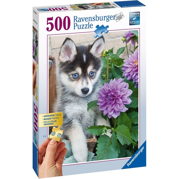 Ravensburger Cute Husky Puzzle 500pc Large Format-RB13682-7-Animal Kingdoms Toy Store