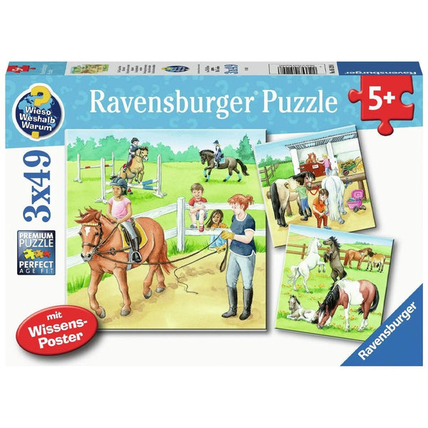 Ravensburger A Day at the Stable Puzzle 3x49pc-RB05129-8-Animal Kingdoms Toy Store