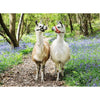 Ravensburger Llama Love 100pc-RB12941-6-Animal Kingdoms Toy Store