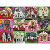 Ravensburger Puppy Pals Puzzle 500pc-RB14659-8-Animal Kingdoms Toy Store