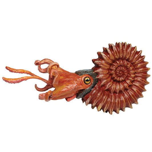 Safari Ltd Ammonite-SAF303429-Animal Kingdoms Toy Store
