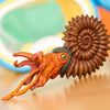 Safari Ltd Ammonite-SAF303429-Animal Kingdoms Toy Store