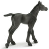 Safari Ltd Arabian Foal-SAF153705-Animal Kingdoms Toy Store