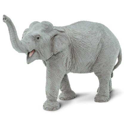 Safari Ltd Asian Elephant Large-SAF112389-Animal Kingdoms Toy Store