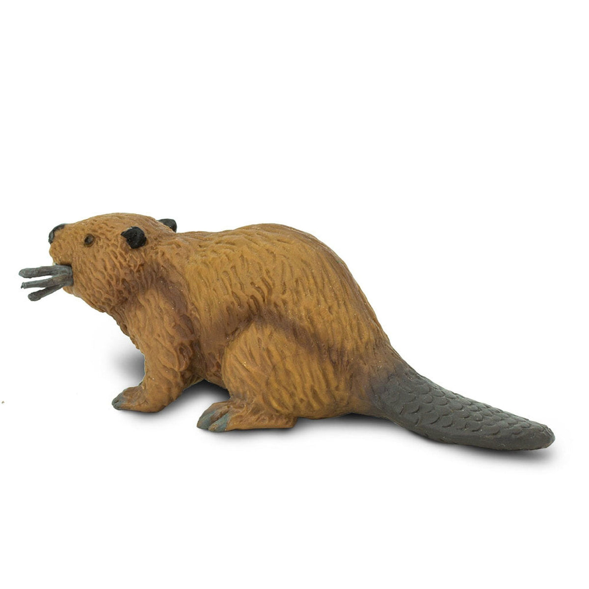 Safari Ltd Beaver-SAF283629-Animal Kingdoms Toy Store