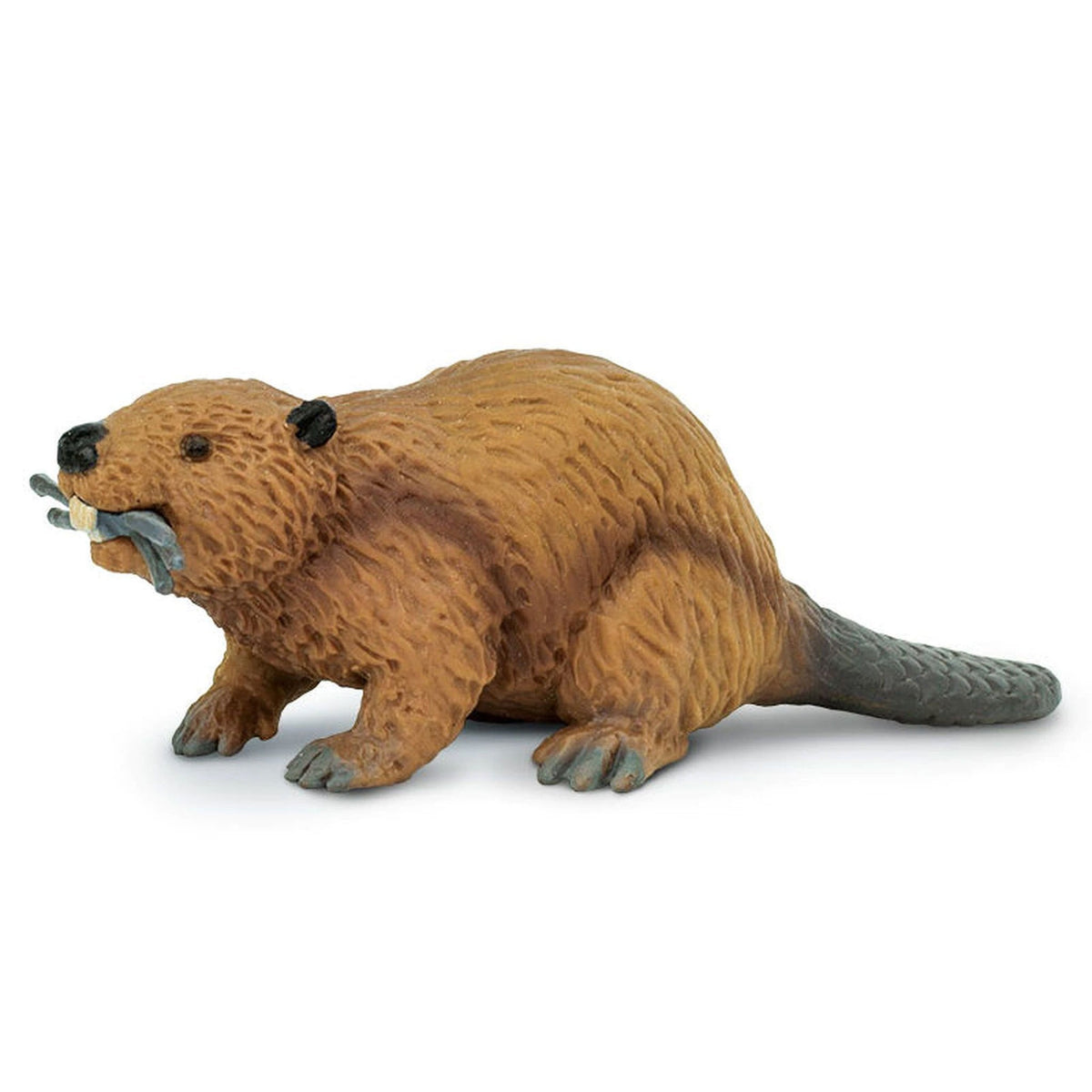 Safari Ltd Beaver-SAF283629-Animal Kingdoms Toy Store