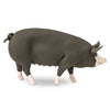 Safari Ltd Berkshire Pig-SAF161929-Animal Kingdoms Toy Store