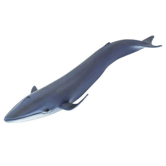 Safari Ltd Blue Whale-SAF223229-Animal Kingdoms Toy Store