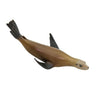 Safari Ltd California Sea Lion-SAF225029-Animal Kingdoms Toy Store