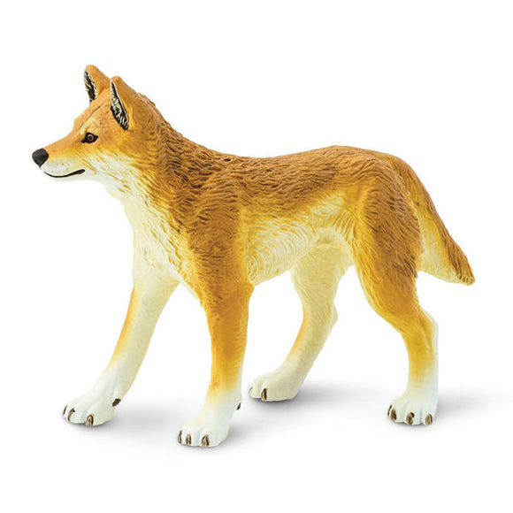 Safari Ltd Dingo-SAF228229-Animal Kingdoms Toy Store