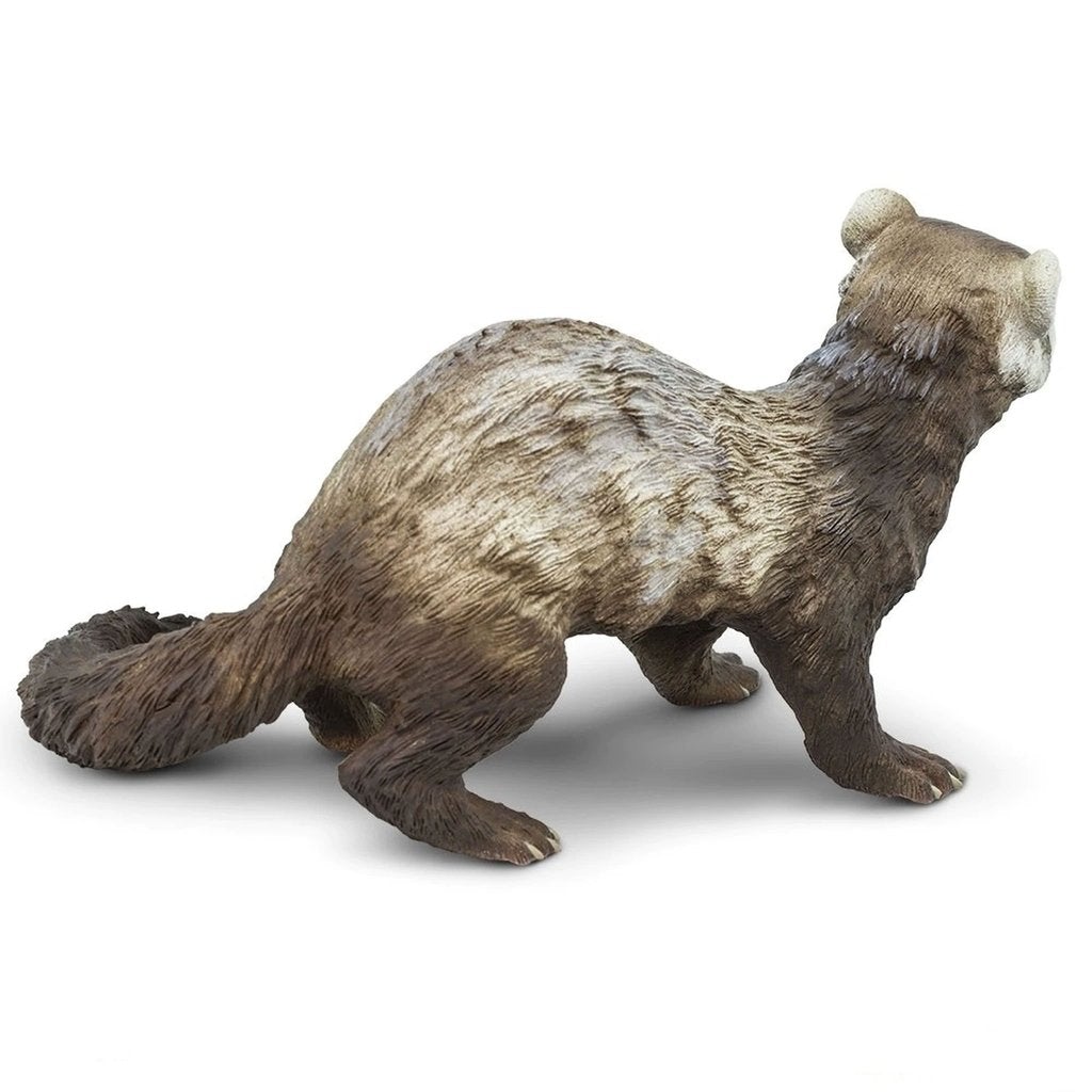 Safari Ltd Ferret XL – Animal Kingdoms Toy Store