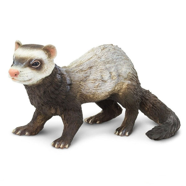Safari Ltd Ferret XL – Animal Kingdoms Toy Store