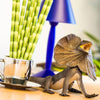 Safari Ltd Frilled Lizard-SAF260529-Animal Kingdoms Toy Store