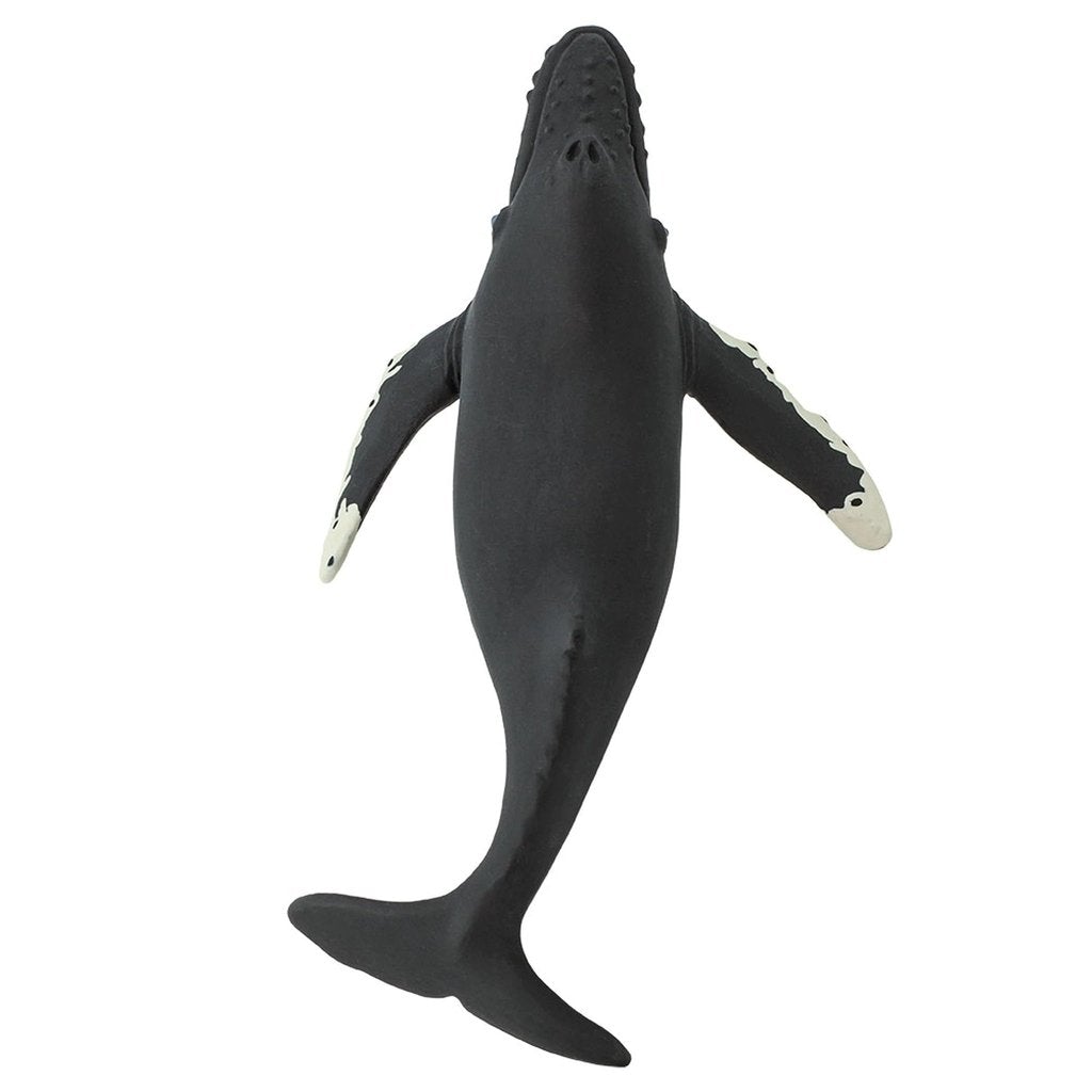 Safari Ltd Humpback Whale-SAF202029-Animal Kingdoms Toy Store