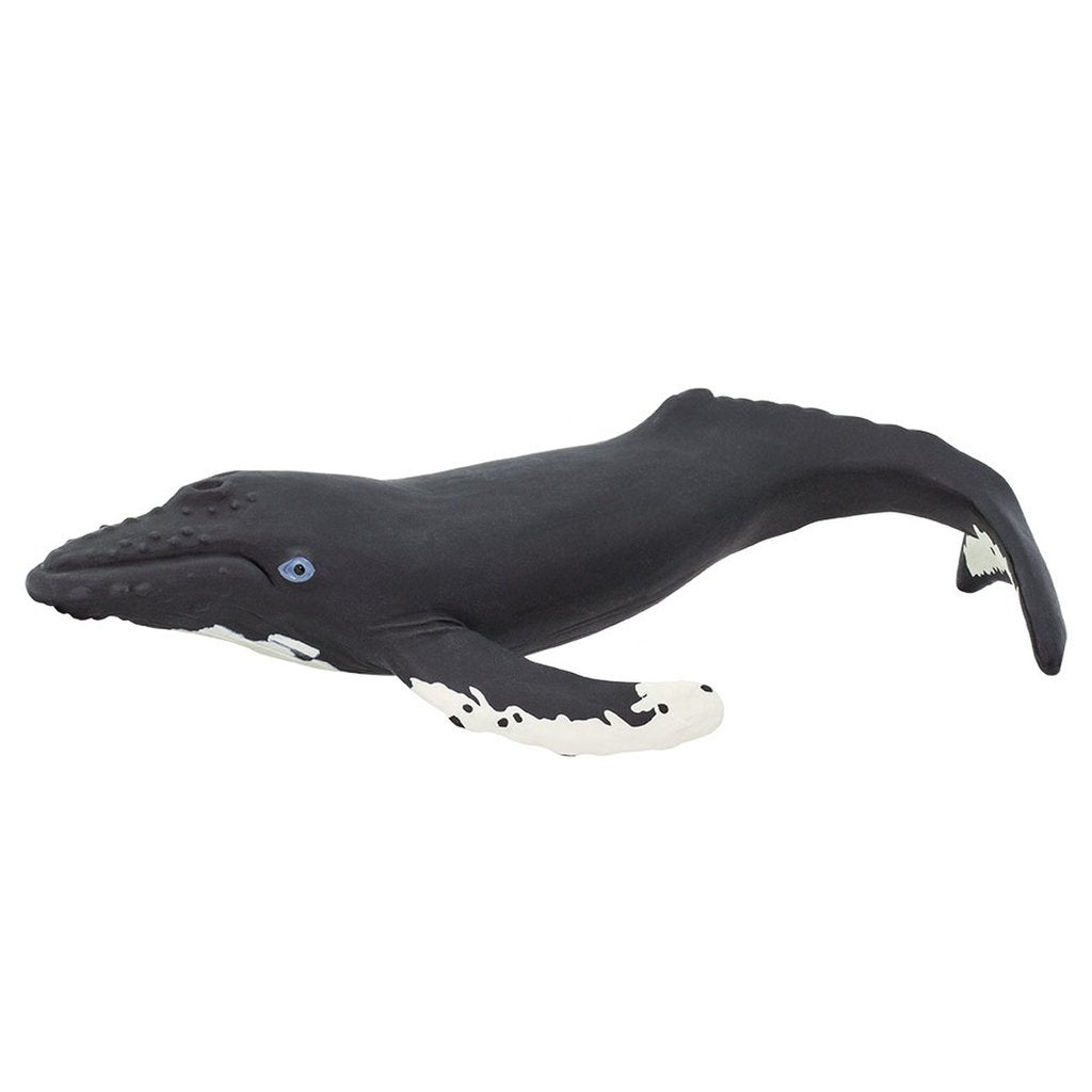 Safari Ltd Humpback Whale-SAF202029-Animal Kingdoms Toy Store