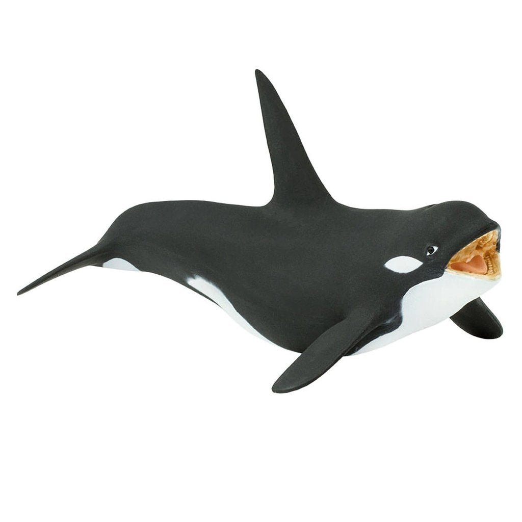Safari Ltd Killer Whale-SAF275129-Animal Kingdoms Toy Store