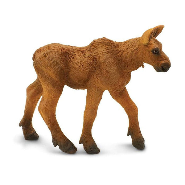 Safari Ltd Moose Calf-SAF181229-Animal Kingdoms Toy Store