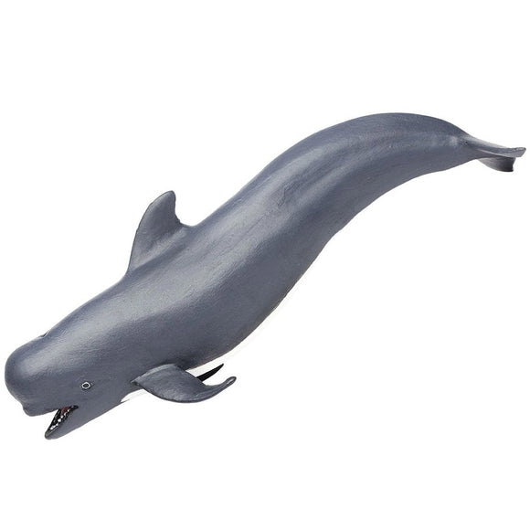 Safari Ltd Pilot Whale-SAF205629-Animal Kingdoms Toy Store
