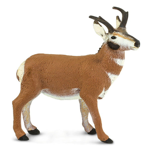 Safari Ltd Pronghorn Buck-SAF284729-Animal Kingdoms Toy Store