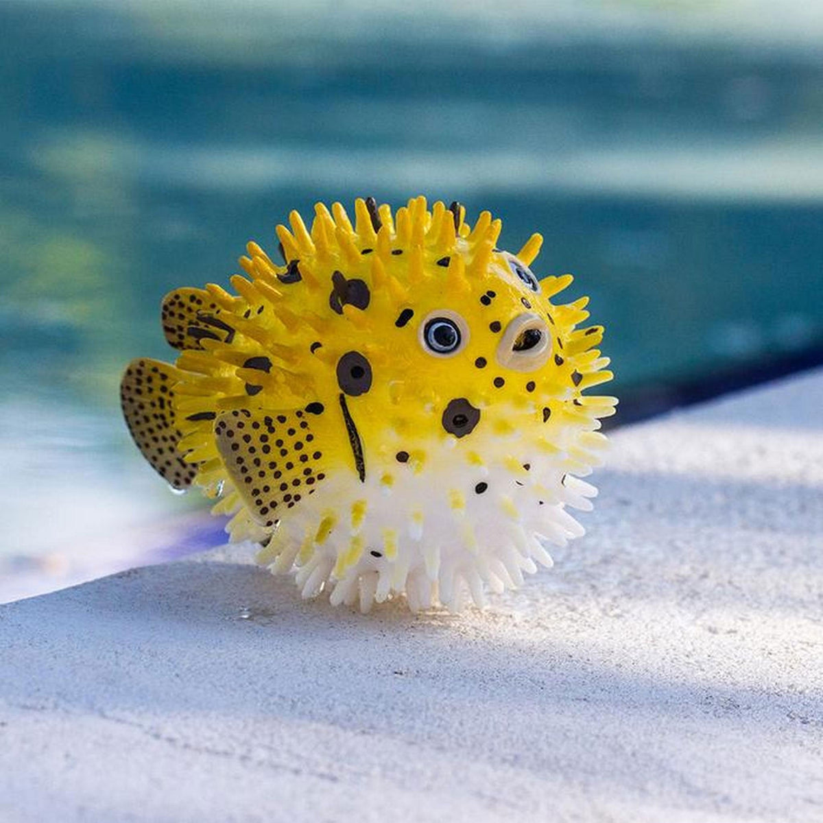 Safari Ltd Pufferfish-SAF250429-Animal Kingdoms Toy Store