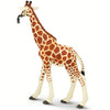 Safari Ltd Reticulated Giraffe-SAF268429-Animal Kingdoms Toy Store