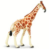 Safari Ltd Reticulated Giraffe-SAF268429-Animal Kingdoms Toy Store