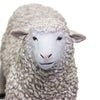 Safari Ltd Sheep-SAF162429-Animal Kingdoms Toy Store