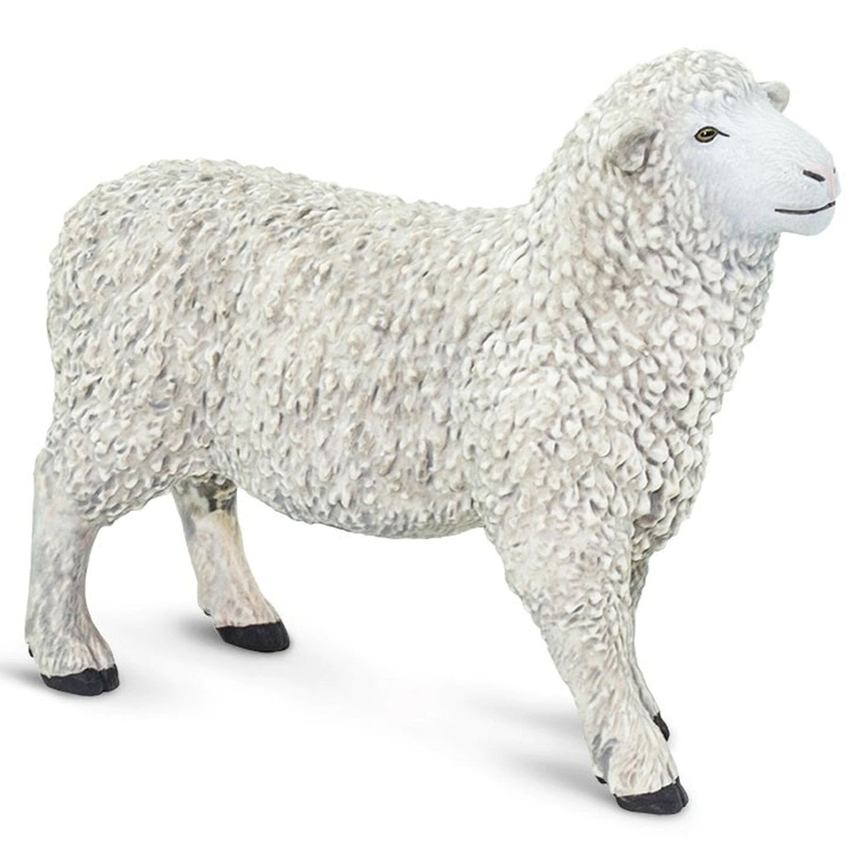 Safari Ltd Sheep-SAF162429-Animal Kingdoms Toy Store