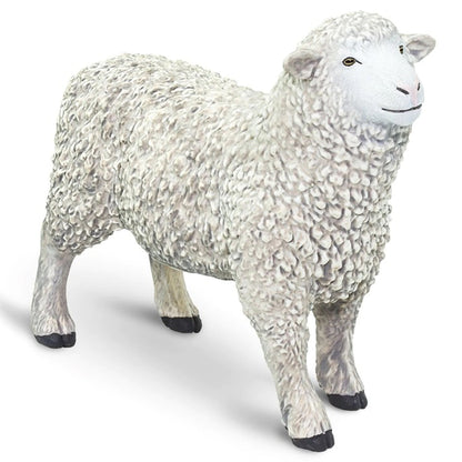 Safari Ltd Sheep-SAF162429-Animal Kingdoms Toy Store