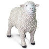 Safari Ltd Sheep-SAF162429-Animal Kingdoms Toy Store
