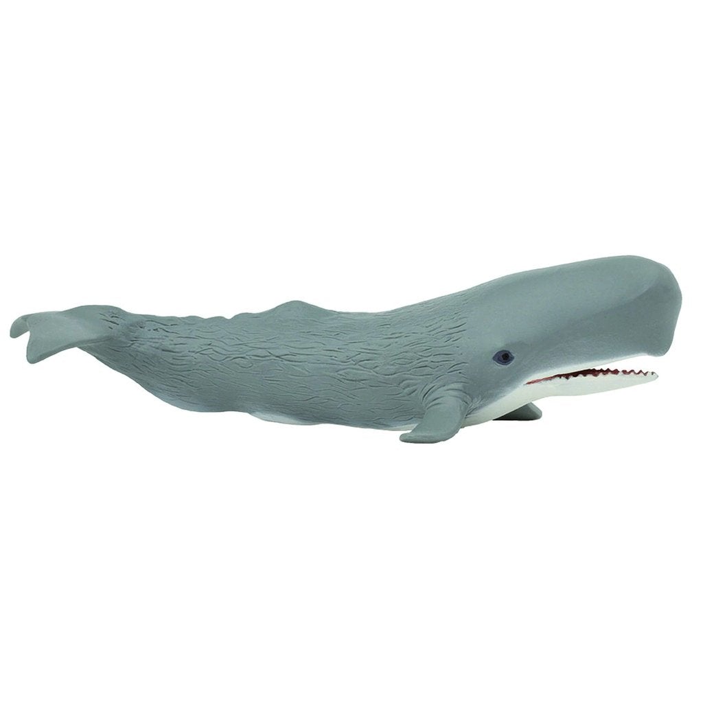 Safari Ltd Sperm Whale-SAF275529-Animal Kingdoms Toy Store