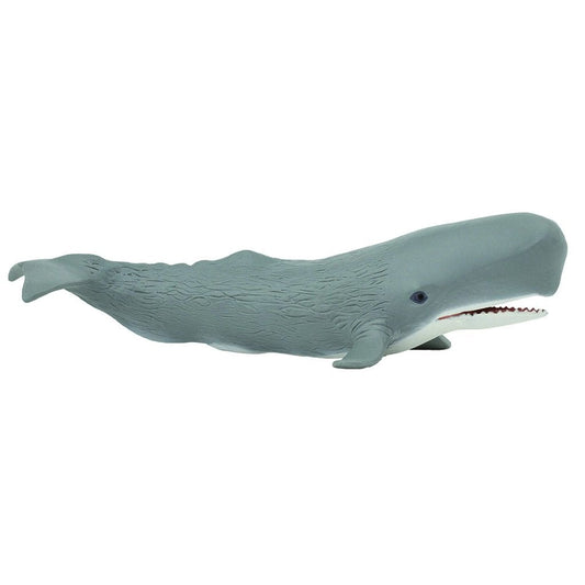 Safari Ltd Sperm Whale-SAF275529-Animal Kingdoms Toy Store