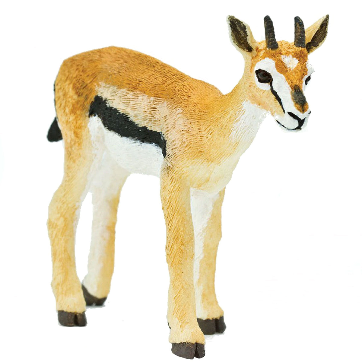Safari Ltd Thomson's Gazelle-SAF227029-Animal Kingdoms Toy Store