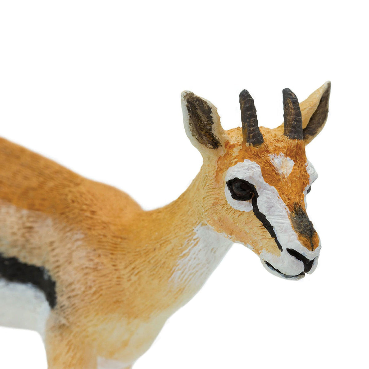 Safari Ltd Thomson's Gazelle-SAF227029-Animal Kingdoms Toy Store