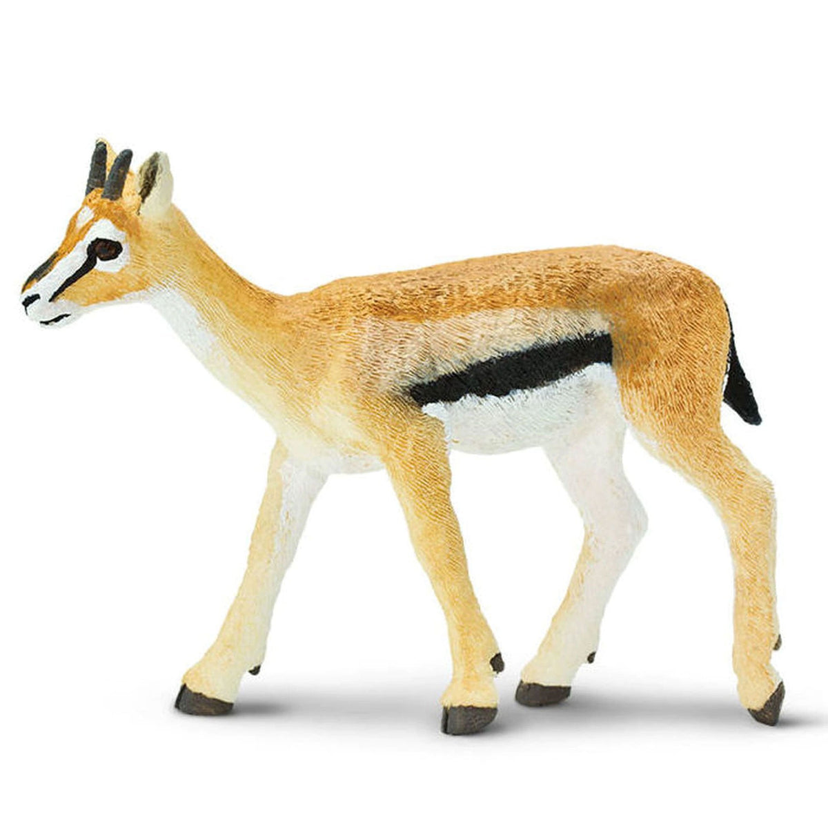 Safari Ltd Thomson's Gazelle-SAF227029-Animal Kingdoms Toy Store